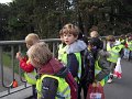 Het Bosje Oktober 2011